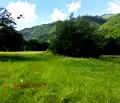 Снимка 4 — Парцел в Ловеч, с. Рибарица