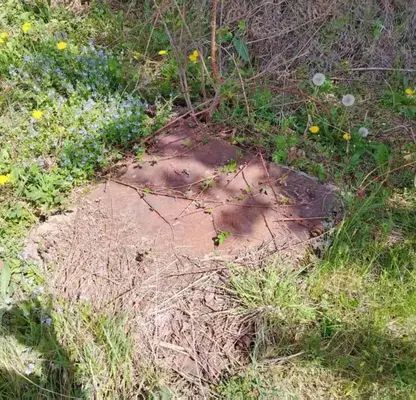 Photo 5 — Plot in Oblast Lovech, Stefanovo
