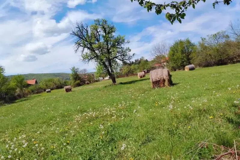 Plot in Oblast Lovech, Stefanovo