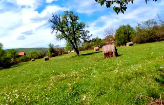 Парцел в Ловеч, с. Стефаново