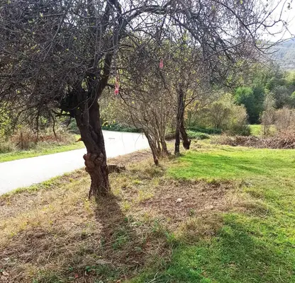 Photo 5 — Plot in Oblast Montana, Berkovica