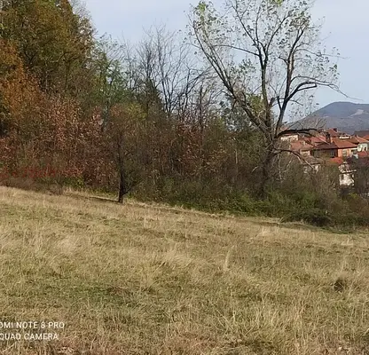 Photo 3 — Plot in Oblast Montana, Berkovica