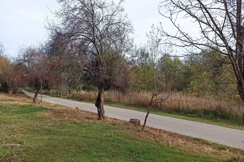 Парцел в Монтана, Берковица