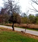 Парцел в Монтана, Берковица