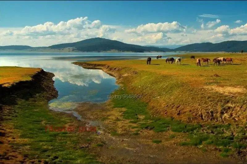 Парцел в Пазарджик, Батак
