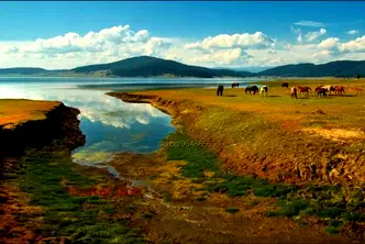 Парцел в Пазарджик, Батак
