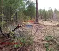 Снимка 2 — Парцел в Пазарджик, Батак