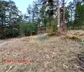Снимка 3 — Парцел в Пазарджик, Батак