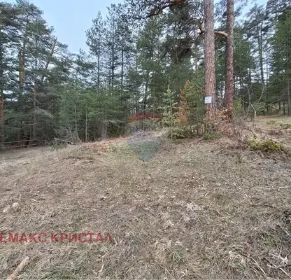 Photo 3 — Plot in Oblast Pazardjik, Batak