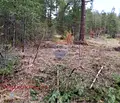 Снимка 5 — Парцел в Пазарджик, Батак