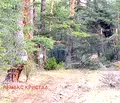 Снимка 2 — Парцел в Пазарджик, Батак