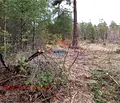 Снимка 3 — Парцел в Пазарджик, Батак