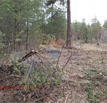 Photo 3 — Plot in Oblast Pazardjik, Batak