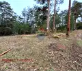 Снимка 4 — Парцел в Пазарджик, Батак