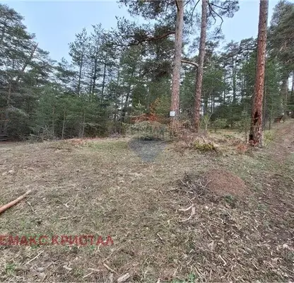 Photo 4 — Plot in Oblast Pazardjik, Batak