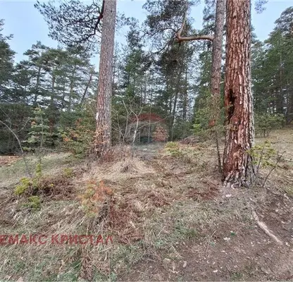 Photo 5 — Plot in Oblast Pazardjik, Batak