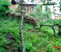 Снимка 2 — Парцел в Пазарджик, Брацигово