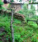 Парцел в Пазарджик, Брацигово