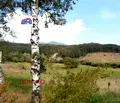 Снимка 5 — Парцел в Пазарджик, Велин