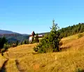 Снимка 2 — Парцел в Пазарджик, Велин