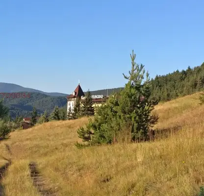 Photo 2 — Plot in Oblast Pazardjik, Велин