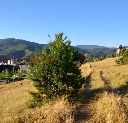 Photo 3 — Plot in Oblast Pazardjik, Велин