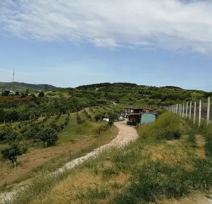Photo 2 — Plot in Oblast Pazardjik, Vetren