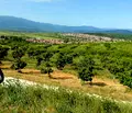 Снимка 3 — Парцел в Пазарджик, Ветрен