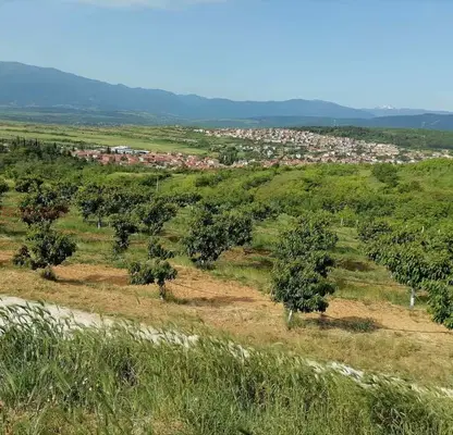 Photo 3 — Plot in Oblast Pazardjik, Vetren