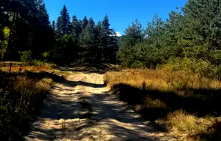 Парцел в Пазарджик, м-т Цигов чарк