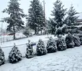 Снимка 3 — Парцел в Пазарджик, с. Равногор