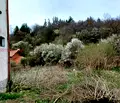 Снимка 2 — Парцел в Перник, Брезник