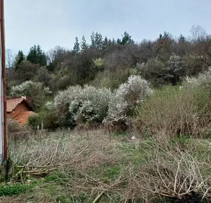 Photo 3 — Plot in Oblast Pernik, Breznik