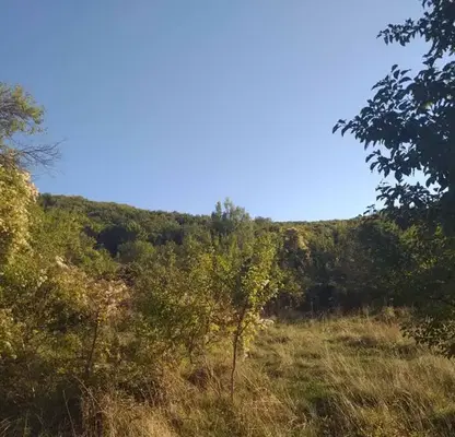 Photo 3 — Plot in Oblast Pernik, Bosnek