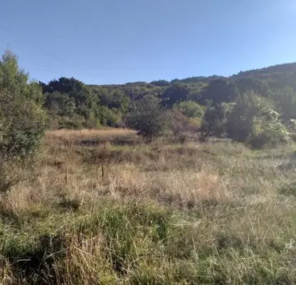 Photo 5 — Plot in Oblast Pernik, Bosnek