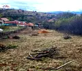 Снимка 5 — Парцел в Перник, с. Дивотино