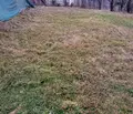 Снимка 4 — Парцел в Перник, с. Дивотино