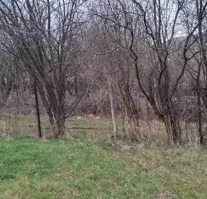 Photo 5 — Plot in Oblast Pernik, Divotino