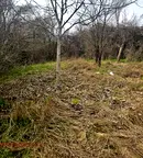 Парцел в Перник, с. Николаево