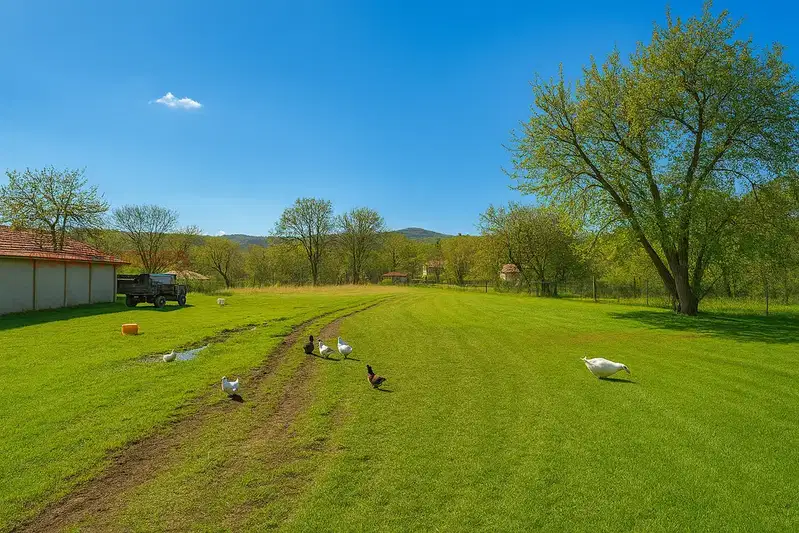 Plot in Oblast Pernik, Slakovci