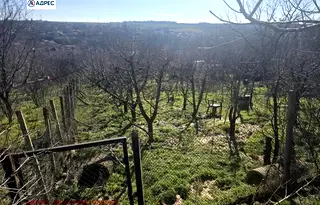 Парцел в Плевен, с. Радишево