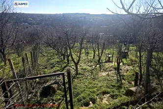 Парцел в Плевен, с. Радишево