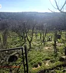 Парцел в Плевен, с. Радишево