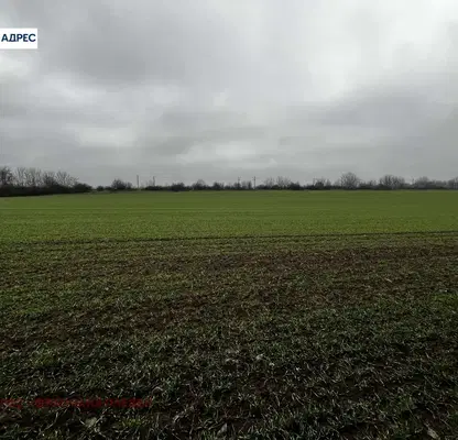 Photo 3 — Plot in Oblast Pleven, Yasen