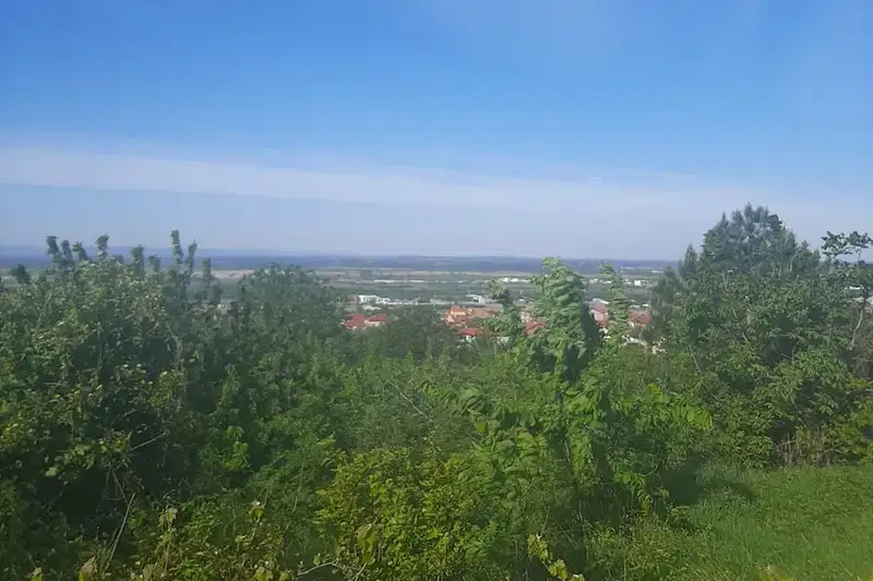 Парцел в Пловдив, Асенов