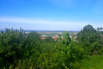 Парцел в Пловдив, Асенов