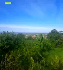 Парцел в Пловдив, Асенов