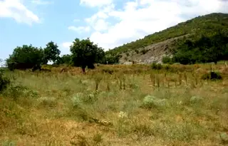 Парцел в Пловдив, Карлово