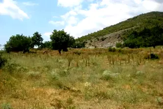 Парцел в Пловдив, Карлово
