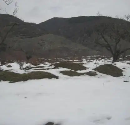 Photo 2 — Plot in Oblast Plovdiv, Karlovo